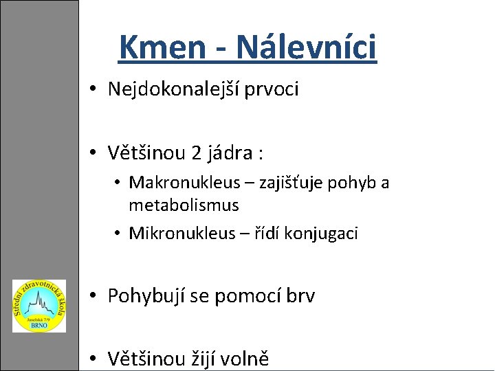 Kmen - Nálevníci • Nejdokonalejší prvoci • Většinou 2 jádra : • Makronukleus –