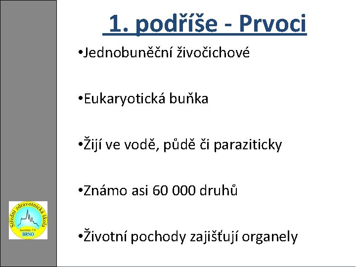 1. podříše - Prvoci • Jednobuněční živočichové • Eukaryotická buňka • Žijí ve vodě,