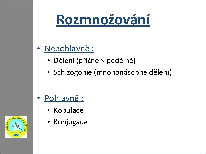 Rozmnožování • Nepohlavně : • Dělení (příčné × podélné) • Schizogonie (mnohonásobné dělení) •