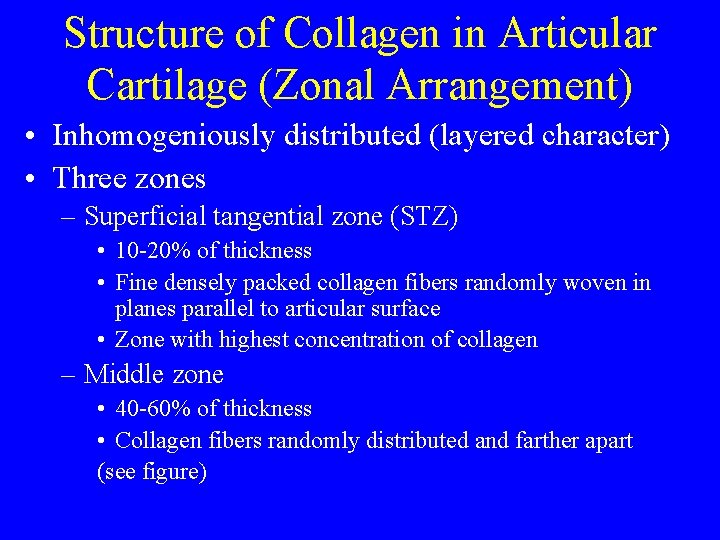 Structure of Collagen in Articular Cartilage (Zonal Arrangement) • Inhomogeniously distributed (layered character) •
