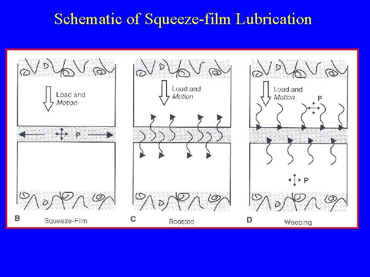 Schematic of Squeeze-film Lubrication 