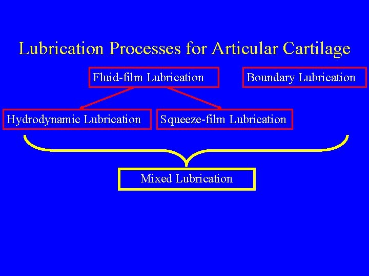 Lubrication Processes for Articular Cartilage Fluid-film Lubrication Hydrodynamic Lubrication Boundary Lubrication Squeeze-film Lubrication Mixed