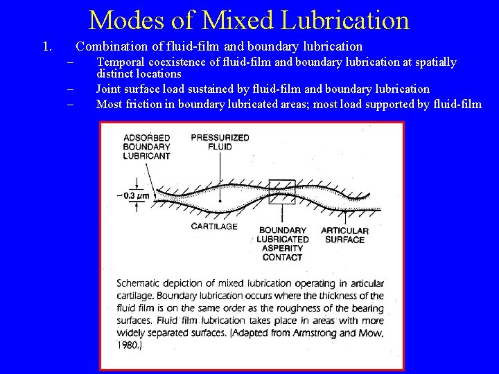 Modes of Mixed Lubrication 1. Combination of fluid-film and boundary lubrication – – –