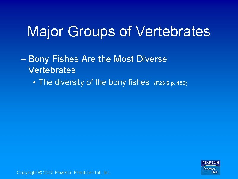 Major Groups of Vertebrates – Bony Fishes Are the Most Diverse Vertebrates • The
