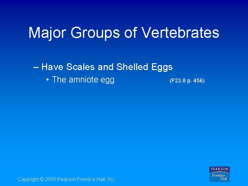 Major Groups of Vertebrates – Have Scales and Shelled Eggs • The amniote egg