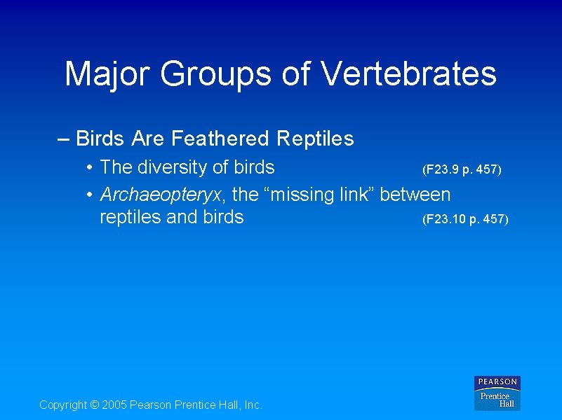 Major Groups of Vertebrates – Birds Are Feathered Reptiles • The diversity of birds