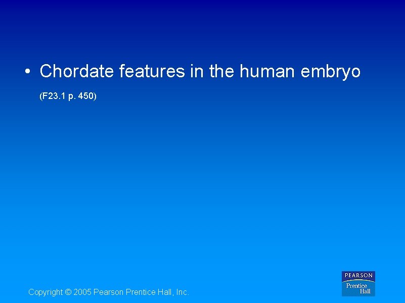  • Chordate features in the human embryo (F 23. 1 p. 450) Copyright