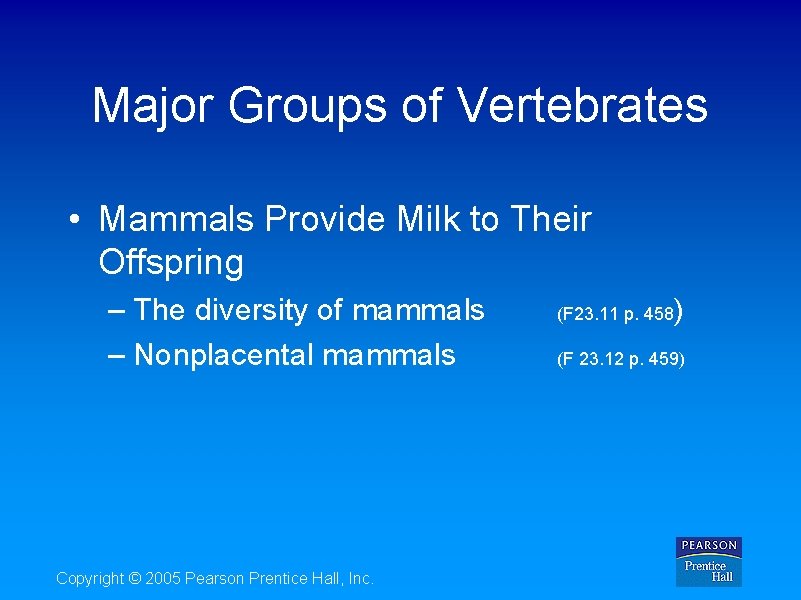 Major Groups of Vertebrates • Mammals Provide Milk to Their Offspring – The diversity