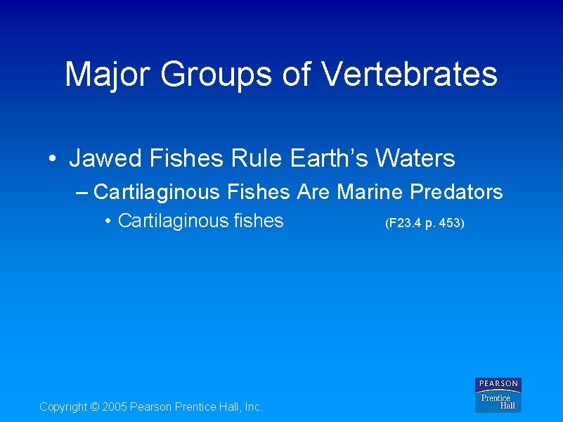 Major Groups of Vertebrates • Jawed Fishes Rule Earth’s Waters – Cartilaginous Fishes Are