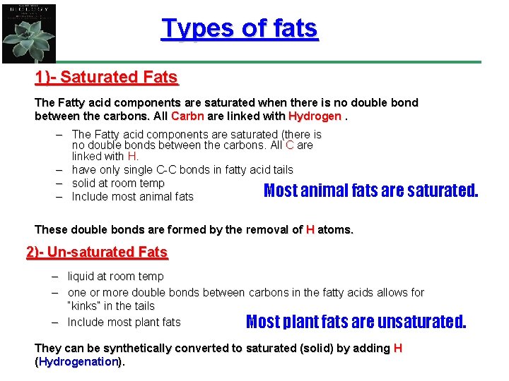 Types of fats 1)- Saturated Fats The Fatty acid components are saturated when there