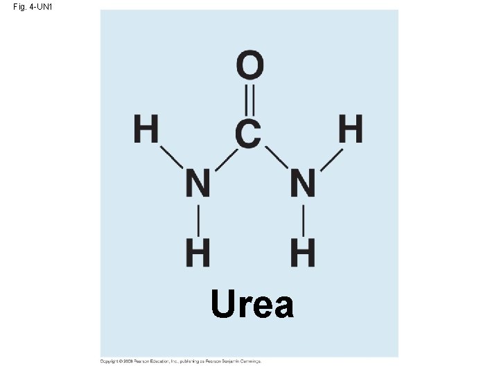 Fig. 4 -UN 1 Urea 