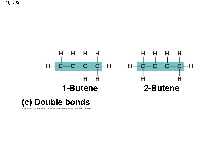Fig. 4 -5 c 1 -Butene (c) Double bonds 2 -Butene 