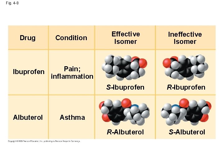 Fig. 4 -8 Drug Condition Ibuprofen Pain; inflammation Albuterol Effective Isomer Ineffective Isomer S-Ibuprofen