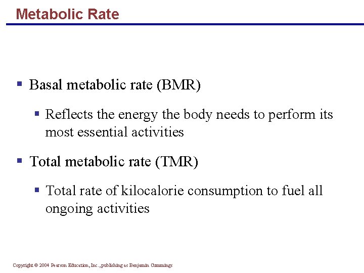 Metabolic Rate § Basal metabolic rate (BMR) § Reflects the energy the body needs