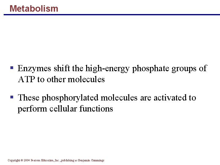 Metabolism § Enzymes shift the high-energy phosphate groups of ATP to other molecules § Metabolism § Enzymes shift the high-energy phosphate groups of ATP to other molecules §