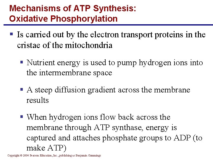 Mechanisms of ATP Synthesis: Oxidative Phosphorylation § Is carried out by the electron transport