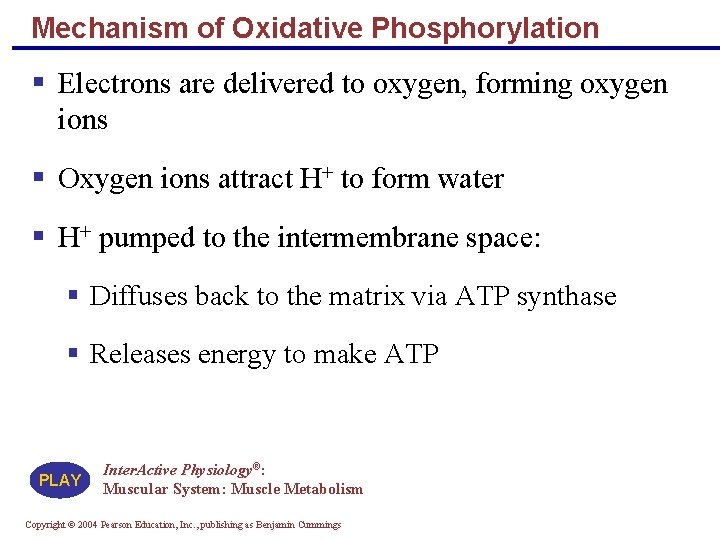Mechanism of Oxidative Phosphorylation § Electrons are delivered to oxygen, forming oxygen ions § Mechanism of Oxidative Phosphorylation § Electrons are delivered to oxygen, forming oxygen ions §