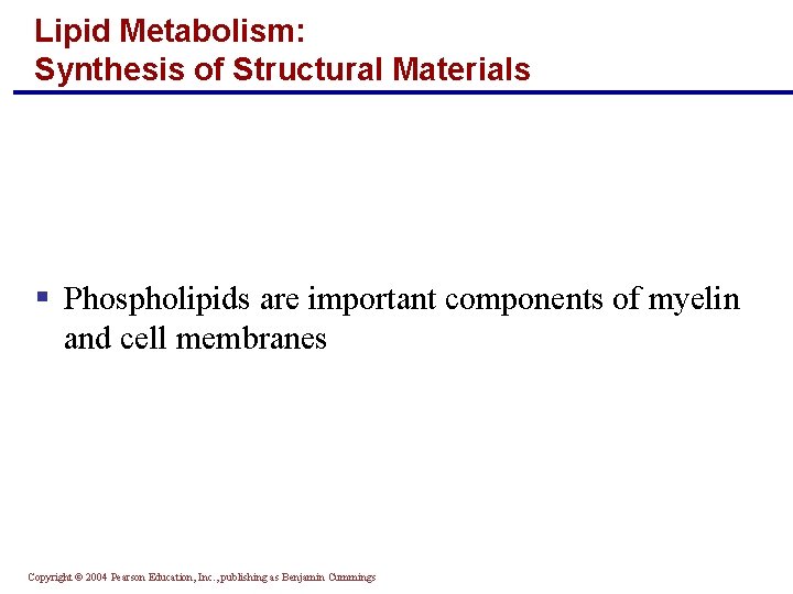 Lipid Metabolism: Synthesis of Structural Materials § Phospholipids are important components of myelin and Lipid Metabolism: Synthesis of Structural Materials § Phospholipids are important components of myelin and