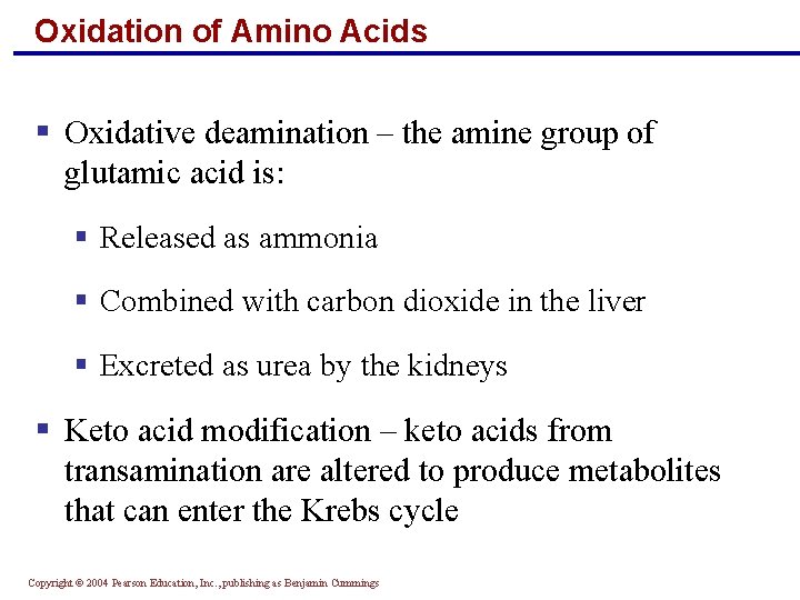 Oxidation of Amino Acids § Oxidative deamination – the amine group of glutamic acid Oxidation of Amino Acids § Oxidative deamination – the amine group of glutamic acid