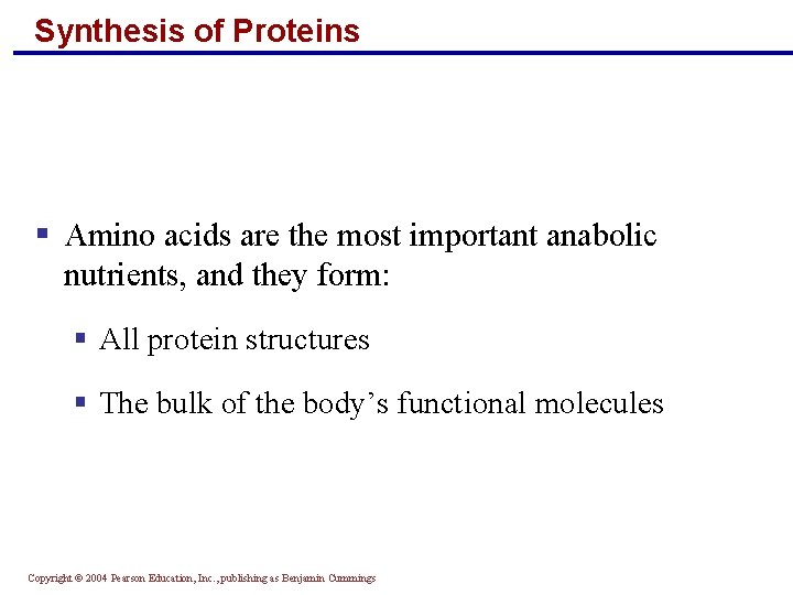 Synthesis of Proteins § Amino acids are the most important anabolic nutrients, and they Synthesis of Proteins § Amino acids are the most important anabolic nutrients, and they