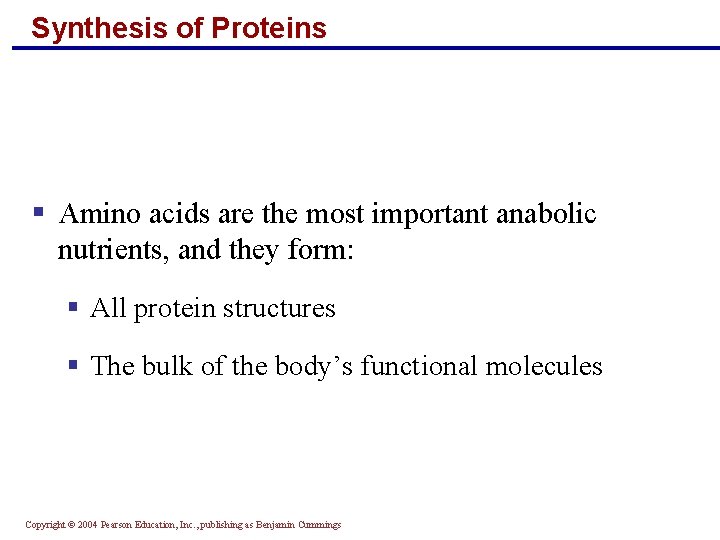 Synthesis of Proteins § Amino acids are the most important anabolic nutrients, and they