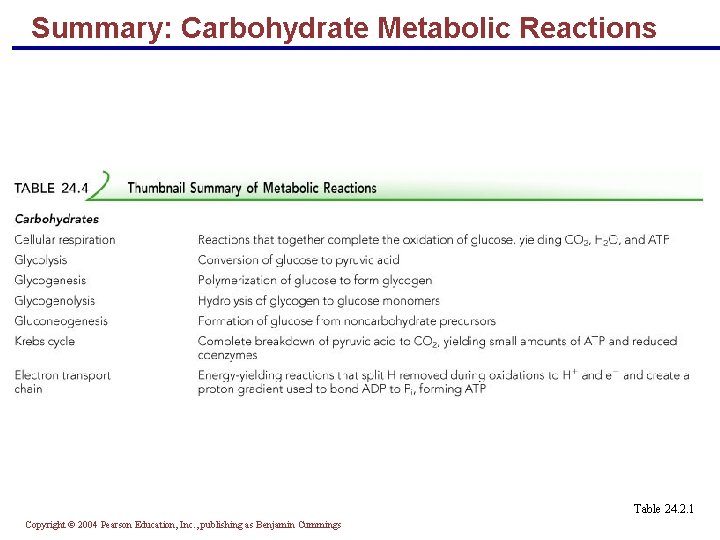 Summary: Carbohydrate Metabolic Reactions Table 24. 2. 1 Copyright © 2004 Pearson Education, Inc.