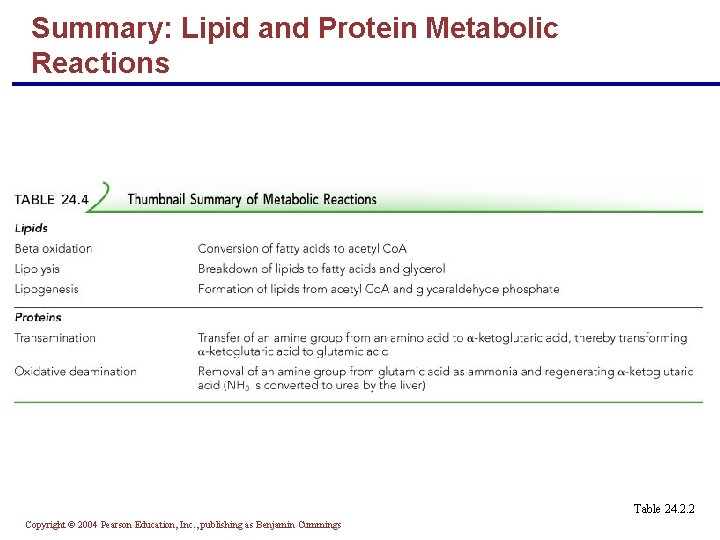 Summary: Lipid and Protein Metabolic Reactions Table 24. 2. 2 Copyright © 2004 Pearson Summary: Lipid and Protein Metabolic Reactions Table 24. 2. 2 Copyright © 2004 Pearson