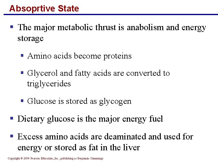 Absoprtive State § The major metabolic thrust is anabolism and energy storage § Amino