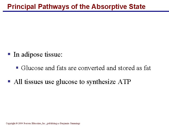 Principal Pathways of the Absorptive State § In adipose tissue: § Glucose and fats Principal Pathways of the Absorptive State § In adipose tissue: § Glucose and fats