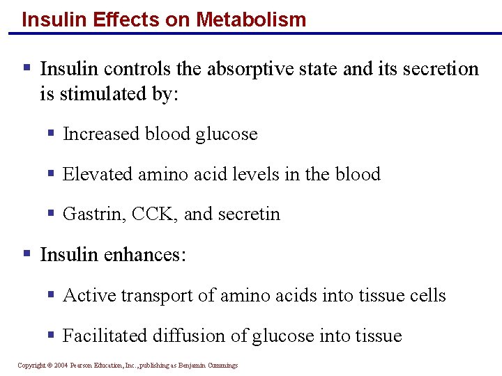 Insulin Effects on Metabolism § Insulin controls the absorptive state and its secretion is