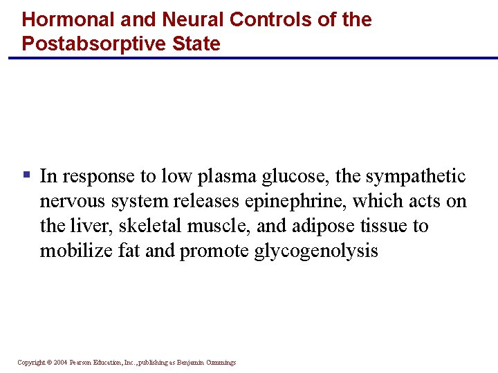 Hormonal and Neural Controls of the Postabsorptive State § In response to low plasma Hormonal and Neural Controls of the Postabsorptive State § In response to low plasma