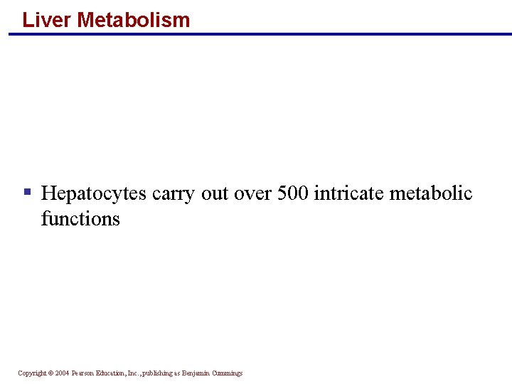 Liver Metabolism § Hepatocytes carry out over 500 intricate metabolic functions Copyright © 2004