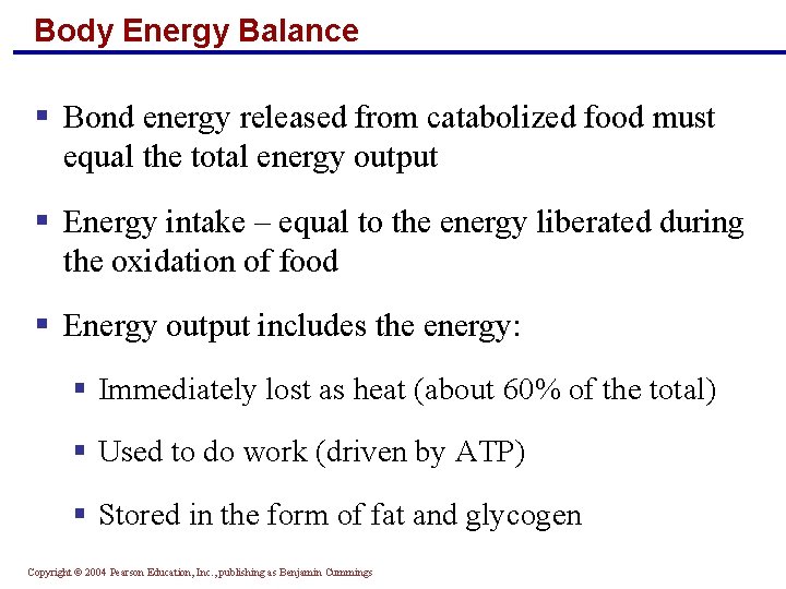 Body Energy Balance § Bond energy released from catabolized food must equal the total