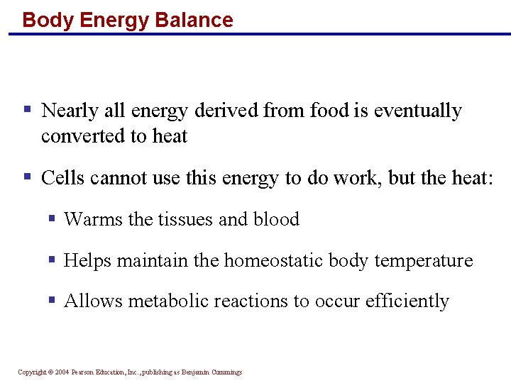 Body Energy Balance § Nearly all energy derived from food is eventually converted to