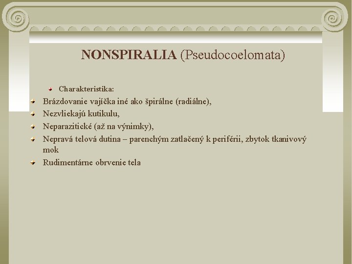  NONSPIRALIA (Pseudocoelomata) Charakteristika: Brázdovanie vajíčka iné ako špirálne (radiálne), Nezvliekajú kutikulu, Neparazitické (až