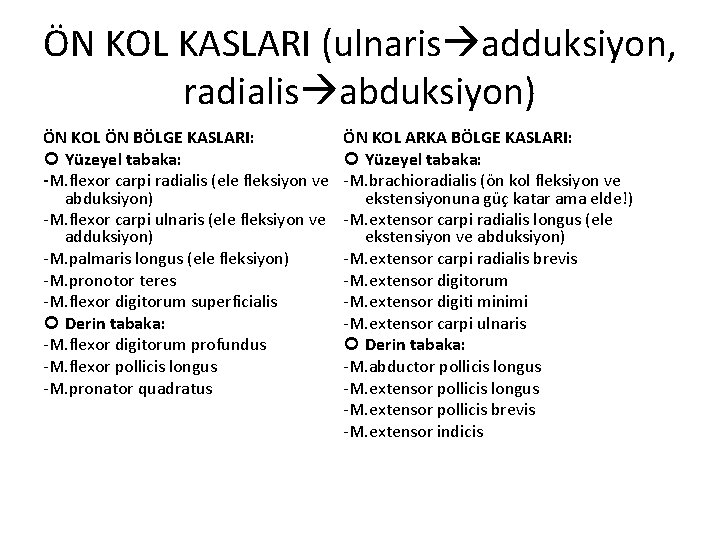 ÖN KOL KASLARI (ulnaris adduksiyon, radialis abduksiyon) ÖN KOL ÖN BÖLGE KASLARI: Yüzeyel tabaka: