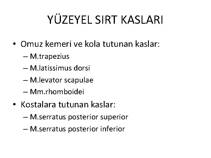 YÜZEYEL SIRT KASLARI • Omuz kemeri ve kola tutunan kaslar: – M. trapezius –