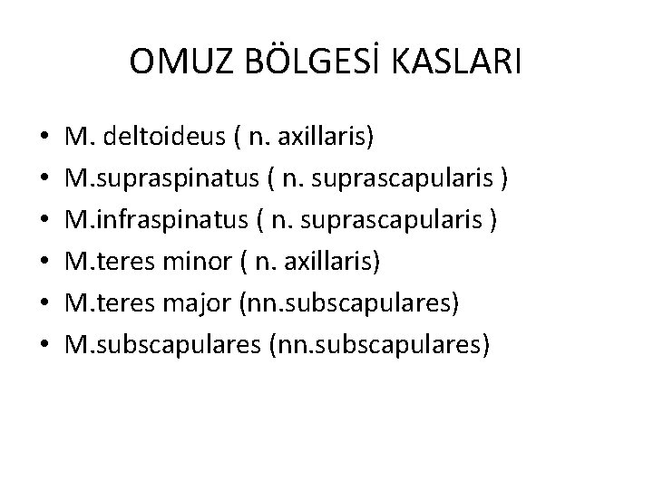 OMUZ BÖLGESİ KASLARI • • • M. deltoideus ( n. axillaris) M. supraspinatus (