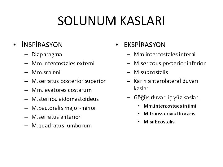 SOLUNUM KASLARI • İNSPİRASYON – – – – – Diaphragma Mm. intercostales externi Mm.