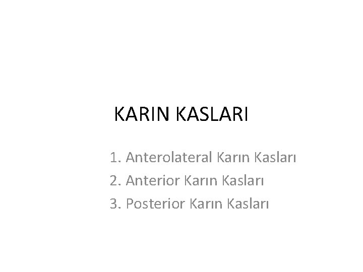 KARIN KASLARI 1. Anterolateral Karın Kasları 2. Anterior Karın Kasları 3. Posterior Karın Kasları