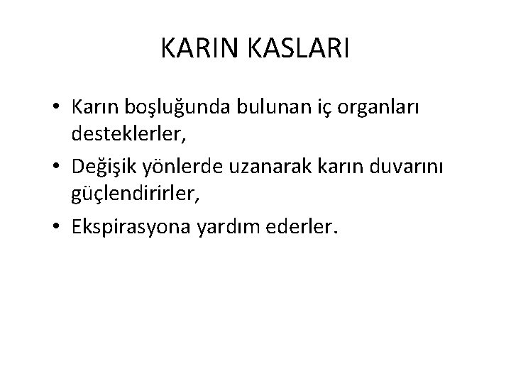 KARIN KASLARI • Karın boşluğunda bulunan iç organları desteklerler, • Değişik yönlerde uzanarak karın