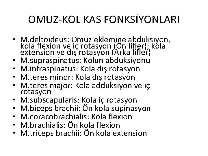 OMUZ-KOL KAS FONKSİYONLARI • M. deltoideus: Omuz eklemine abduksiyon, kola flexion ve iç rotasyon