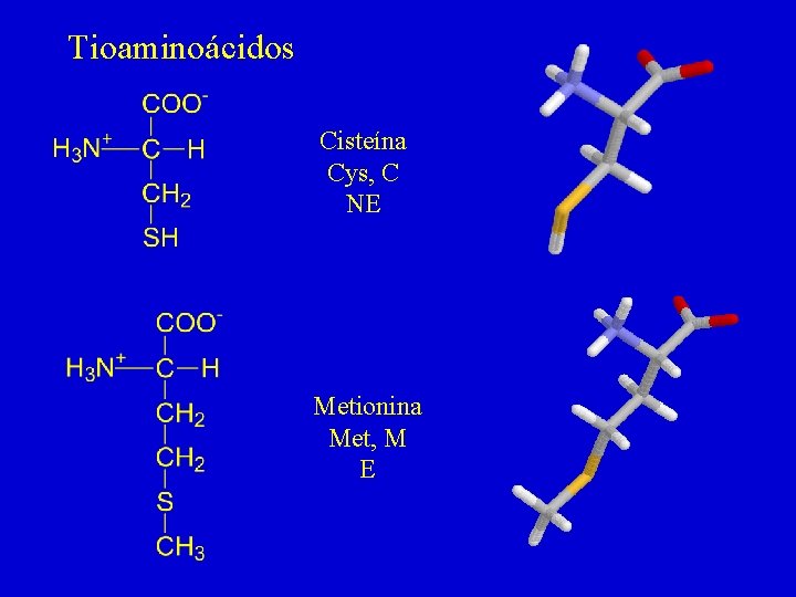 Tioaminoácidos Cisteína Cys, C NE Metionina Met, M E 