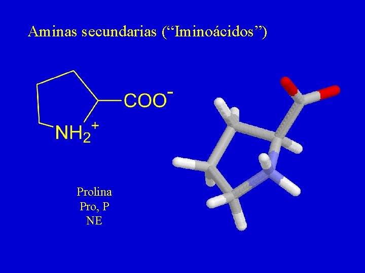 Aminas secundarias (“Iminoácidos”) Prolina Pro, P NE 