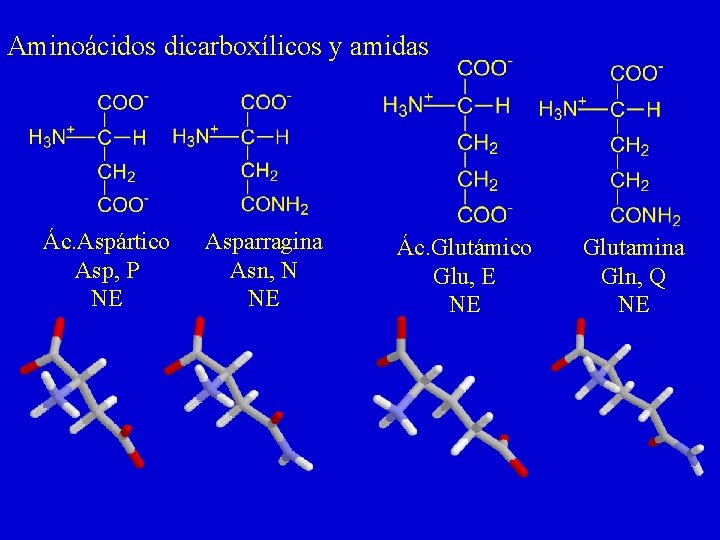 Aminoácidos dicarboxílicos y amidas Ác. Aspártico Asp, P NE Asparragina Asn, N NE Ác.