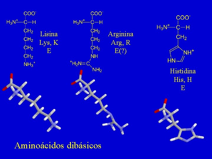 Lisina Lys, K E Arginina Arg, R E(? ) Histidina His, H E Aminoácidos