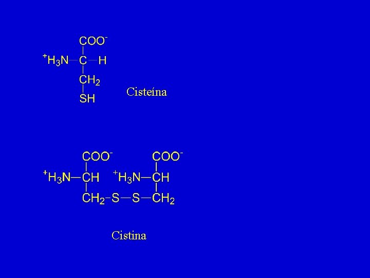 Cisteína Cistina 