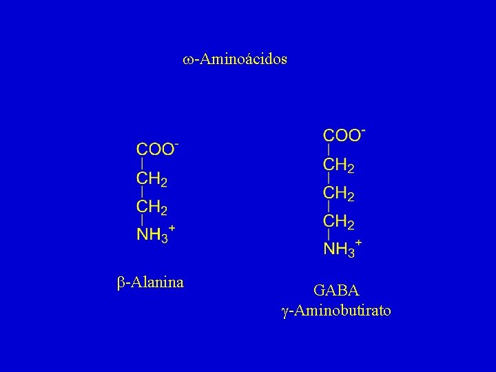 w-Aminoácidos b-Alanina GABA g-Aminobutirato 