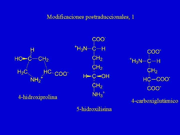 Modificaciones postraduccionales, 1 4 -hidroxiprolina 4 -carboxiglutámico 5 -hidroxilisina 