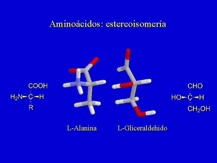 Aminoácidos: estereoisomería L-Alanina L-Gliceraldehido 